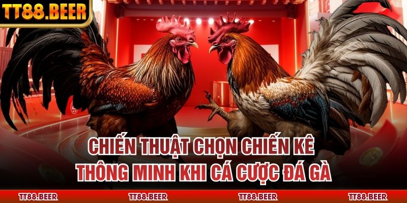 Chiến thuật chọn chiến kê thông minh khi cá cược đá gà