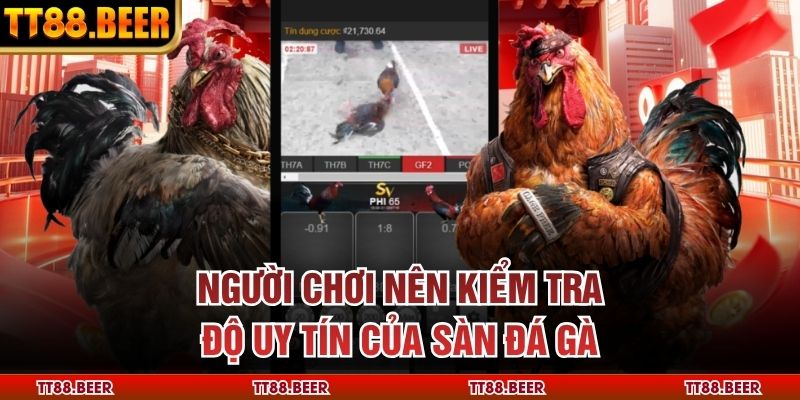 Người chơi nên kiểm tra độ uy tín của sàn đá gà